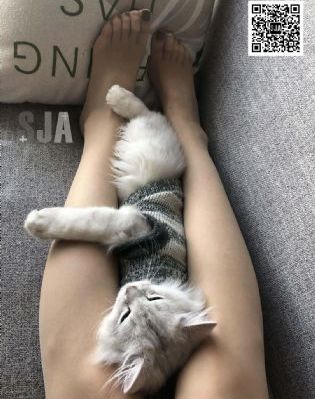91久色视频-新视觉视频全集